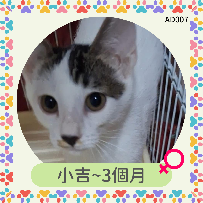 小吉